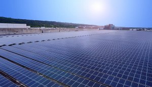 中美硅晶与金年会|jinnianhui光电携手战略合作