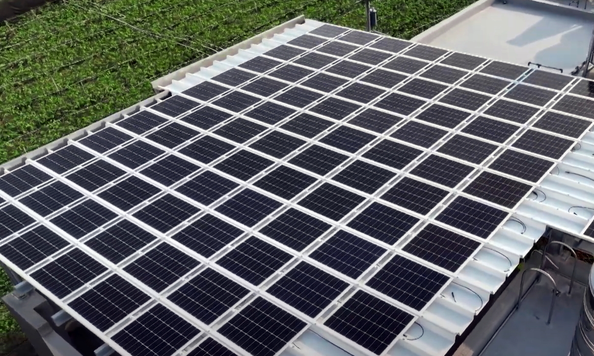 金年会|jinnianhuiSunSteel光电浪板升级双玻结构，以提升机械负载强度及气候耐候度，可广泛运用于多元场域